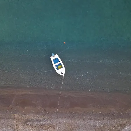 Seashell فيلة لاخنيا